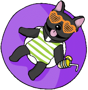 a cute summer doggy